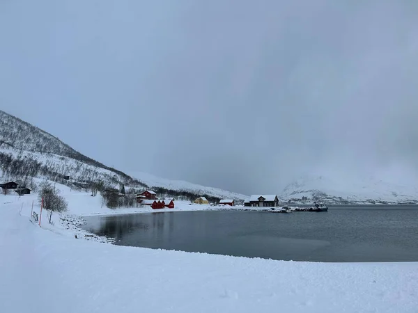Slanke Aangelegde Natuur Tromso Noors — Stockfoto