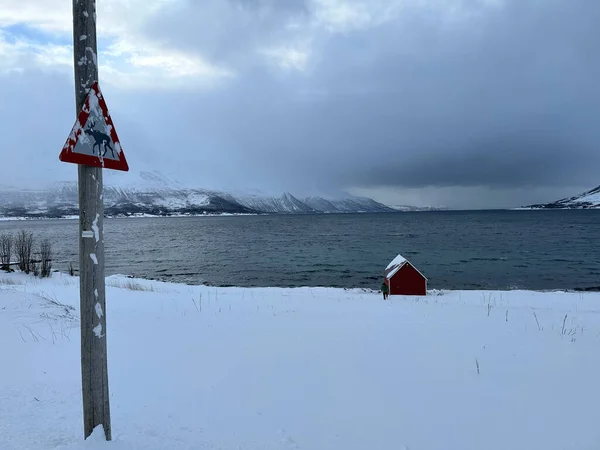 ノルウェーのトロムソでは雪に覆われた自然が — ストック写真