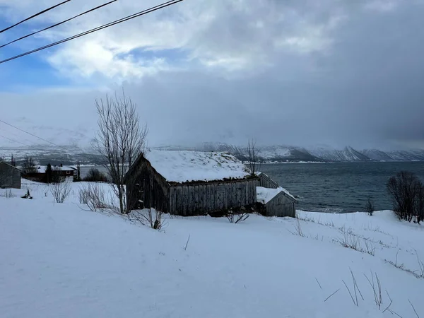 Snawy Parkosított Természet Tromso Norway — Stock Fotó