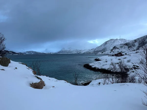Озеленена Природа Зимовий Сезон Тромсе Норвегія — стокове фото