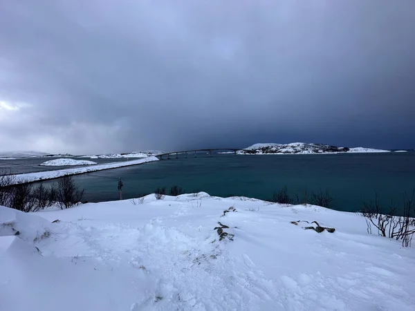 Zasněžená Krajina Zimní Sezóna Norsku — Stock fotografie