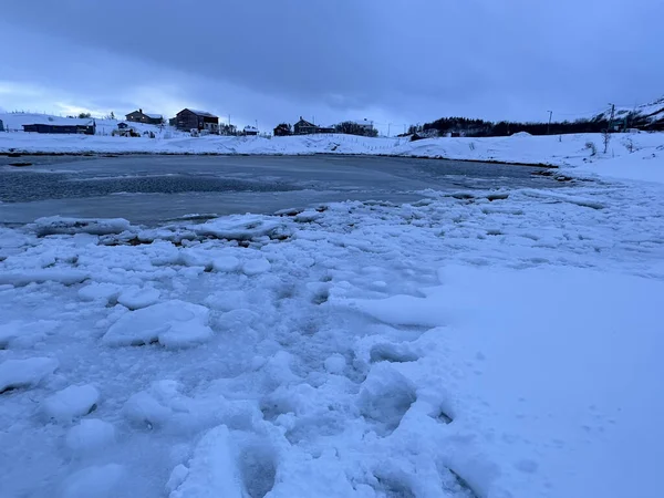 Тромсе Норвегія Зимовий Сезон Озеленена Природа — стокове фото