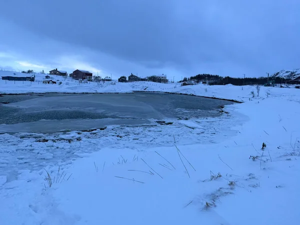 Тромсе Норвегія Зимовий Сезон Озеленена Природа — стокове фото