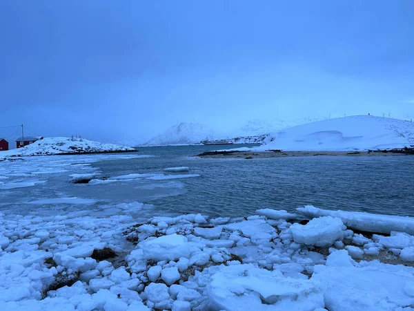 ノルウェーのトロンソでは雪の霜が降り — ストック写真