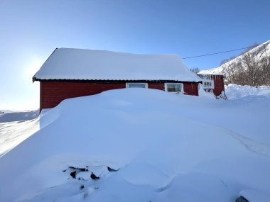 Tromso 'daki karlı doğa manzarası