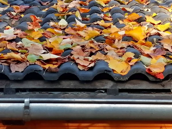 Folhas Outono Telhado Uma Casa — Fotografia de Stock
