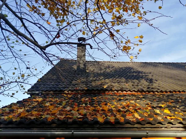 Οροφή Του Σπιτιού Είναι Στρωμένη Φύλλα Falleen Φθινοπωρινά Χρώματα Και — Φωτογραφία Αρχείου