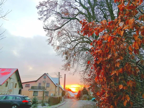 Beautiful View Street City Winter Sunrise — Stock Photo, Image