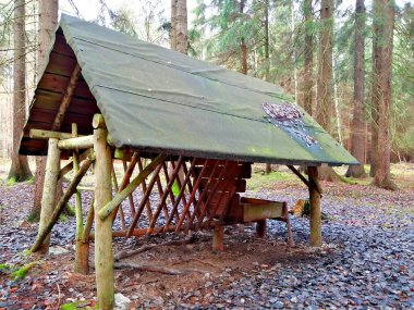 Orman hayvanları için ahşap barınak. 