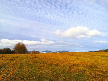 beautiful landscape of the mountains in the countryside