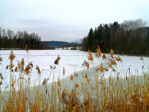 Wunderschöne Landschaft Mit Schnee Teich Und Bäumen — Stockfoto