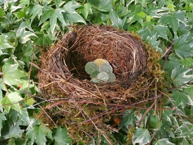 A handful of small coins in a bird's nest