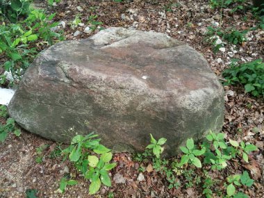 Parkta büyük bir taş.