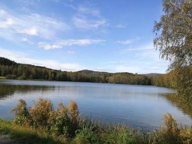 Ormanla çevrili bir gölün güzel bir görüntüsü.
