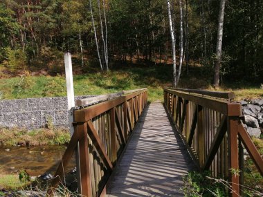 Nehrin üzerindeki ormanda bir köprü.