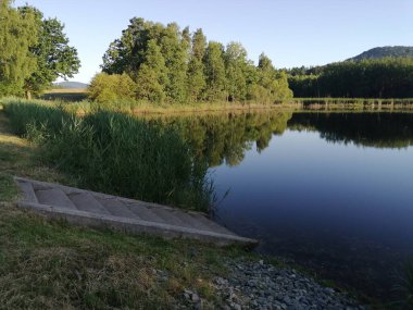 Ormanda gölü olan güzel bir manzara.