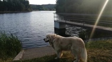 Akşamları gölün güzel manzarası