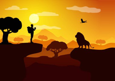 Savannah. Bir adam gün batımında bir aslanın fotoğrafını çeker.