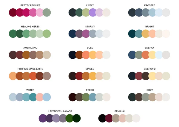 Dibujo Vectorial Conjunto Paletas Colores — Vector de stock
