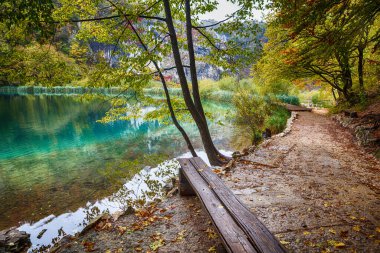 Ağaçlı güzel sonbahar manzarası. Plitvice Gölleri Ulusal Parkı.