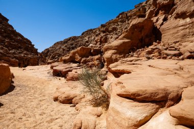 Renkli Kanyon Nuweiba Dahab Mısır