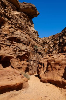 Renkli Kanyon Nuweiba Dahab Mısır