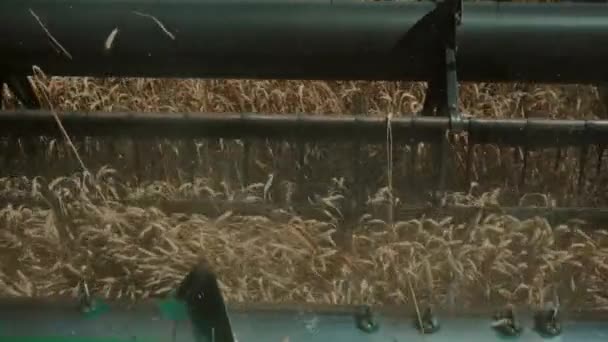 農業分野で栽培されている小麦の収穫リールを回転させる収穫機のスローモーション コンバイン ハーベスターのリールは小麦の耳をカットします 高品質のフルHd映像 — ストック動画