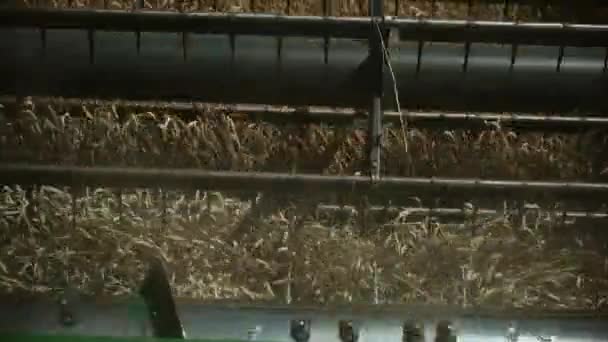 Langsame Bewegung Des Mähdreschers Revolving Reel Harvesting Weizenernte Bewirtschafteten Landwirtschaftlichen — Stockvideo