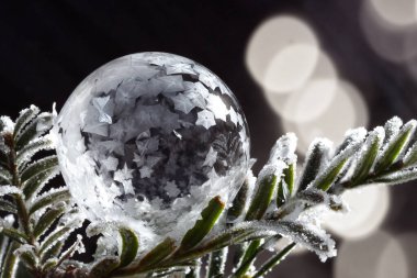 Dondurucu sabun köpüğü ladin dalına yakın buz gibi havada eksi 20 derece