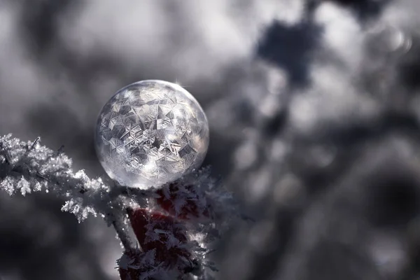 Makro Nahaufnahme Von Gefrorenen Seifenblase Eisblase Hintergrundbeleuchtung Und Glitzereffekt Textur — Stockfoto