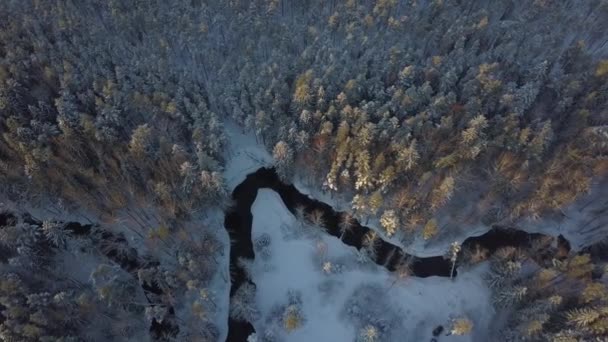 Een Filmische Vlucht Een Winterbos Een Rivier Bij Zonsondergang Episch — Stockvideo