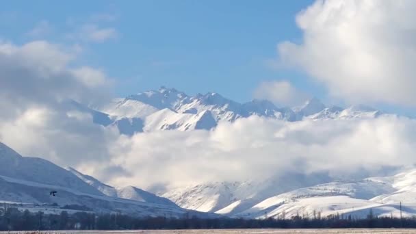 Nuvens Brancas Deslizam Entre Picos Montanha Picos Montanha Nuvens Montanha — Vídeo de Stock