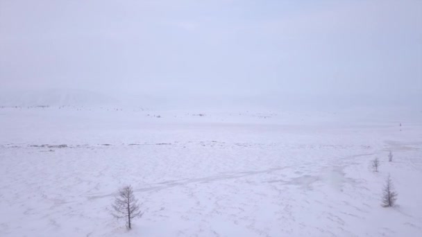 Paisaje Invernal Helado Con Nieve Cubriendo Campo Árboles Primer Plano — Vídeos de Stock