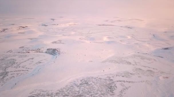 Een Luchtperspectief Van Een Besneeuwd Landschap Onder Een Roze Hemel — Stockvideo