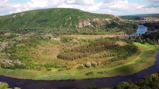 Мальовничий Природний Пейзаж Річкою Звивається Крізь Пишні Дерева Величні Гори — стокове відео