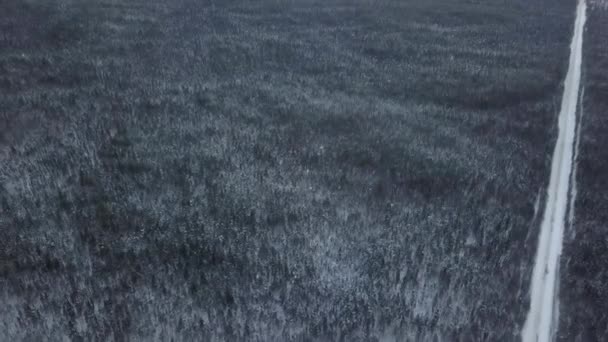 Αεροφωτογραφία Χιονισμένου Δρόμου Που Διασχίζει Δάσος Φυσικό Τοπίο Υδατορρευμάτων Καταρρακτών — Αρχείο Βίντεο