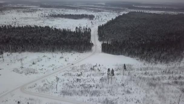 Plano Aéreo País Las Maravillas Invernales Con Árboles Cubiertos Nieve — Vídeo de stock