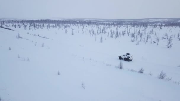 一个令人振奋的空中景观 雪地的树木 道路和河流 一辆雪地摩托滑过冰冷的田野 增强了冬日的宁静气氛 — 图库视频影像