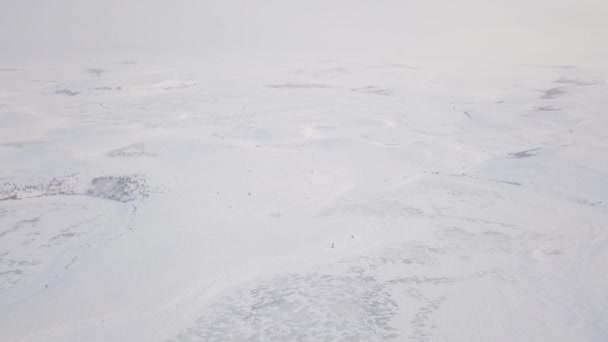 Krajina Pokryta Silnou Vrstvou Sněhu Mnoha Stromy Pozadí Mrazivé Teploty — Stock video