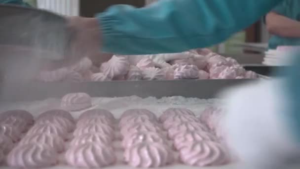 ベーカリーから工場までのマシュマロ製造プロセスを紹介するビデオ ピンクマシュマロを準備する人のシーン あらゆるフレームの甘さ — ストック動画