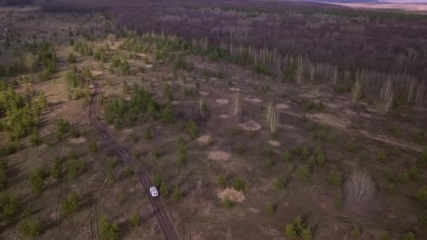 Vzdušná Perspektiva Zachycující Auto Projíždějící Svěžím Lesem Plným Vysokých Stromů — Stock video