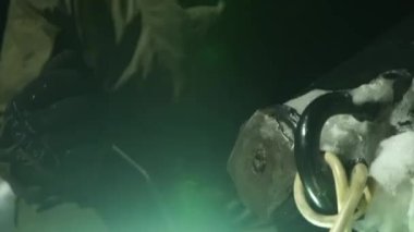 Karanlık odada kaynak yaparken çekilmiş bir video. Hortum, kanca ve ekipman kullanan birinin yakın çekim görüntüleri. Kıvılcımlar uçuşurken yoğun çalışma. Yeşil zemin üzerindeki yılana yakın çekim sanayi ortamının zıttı
