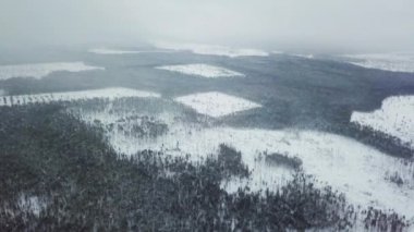 Ormanların yok edilmesi ekolojik sorunlar. Karlı ormanın ve ağaçların karla kaplı olduğu hava videosu, sakin atmosferi vurgulayarak pitoresk bir kış manzarası yaratıyor. karla kaplı orman. 