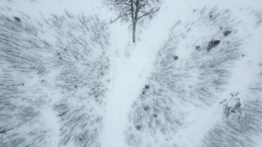 Karlı bir tarlası olan sakin bir kış manzarası, arka planda ağaçlar ve ön planda bir çit. Siyah ve beyaz fotoğraf doğayı minimalist ve sanatsal bir şekilde yakalıyor.