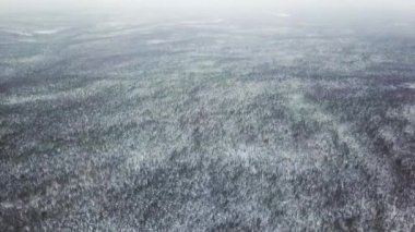 Beyaz karla kaplı karlı orman ve tarlaların sakin bir klibi, doğanın güzelliğini vurgulayan huzurlu bir kış manzarası yaratıyor.