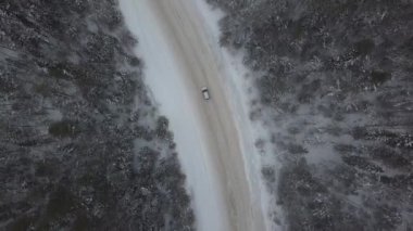 Bir yolun üst hava manzarası ve karlı bir ormanın içinden geçen bir araba. Huzurlu bir manzara barışçıl ve büyülü bir atmosfer yaratır. Kış Harikalar Diyarı 'nda seyahat, gösterişli güzellikler