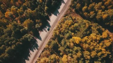 Renkli bir sonbahar ormanındaki kıvrımlı bir yolun havadan görünüşü zengin yeşilliklerle dolu, doğal güzelliğin canlı bir manzarasını yaratıyor.
