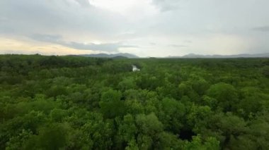 Hava perspektifi yoğun, zümrüt bir ormanın güzelliğini, bulutlu bir gökyüzünün altındaki uzak dağları yakalar.
