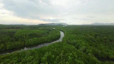 Yukarıdan çekilen bulutlu gökyüzünün altında yemyeşil bir ormanda kıvrılan kıvrımlı bir nehrin nefes kesici görüntüsü.
