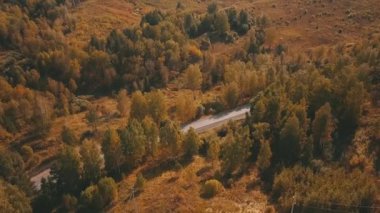 Renkli yapraklar ve dolambaçlı bir yol ile çarpıcı bir hava manzarasından bir sonbahar ormanının güzelliğini tecrübe edin.